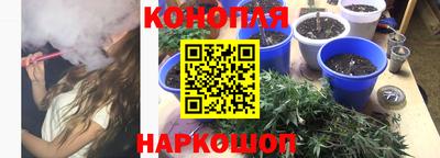 a pvp Будённовск